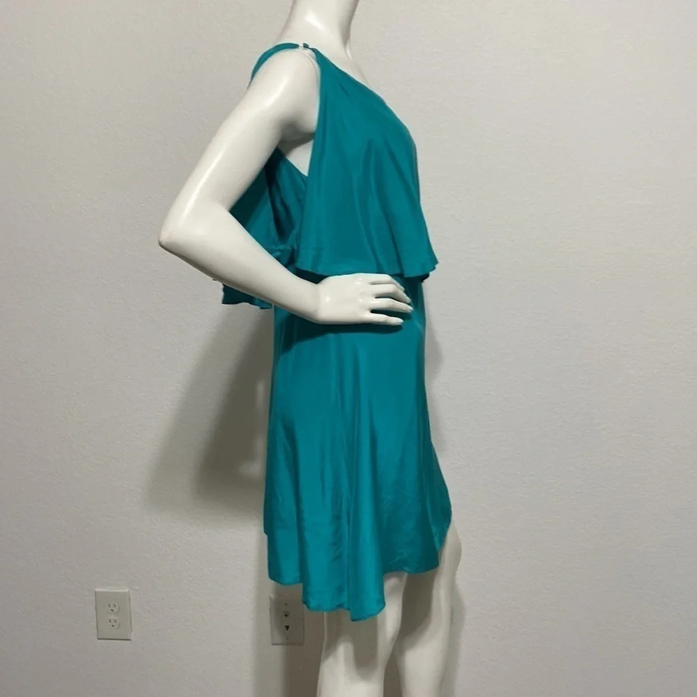 Annie Griffin Silk Mini Dress - Picture 4 of 5